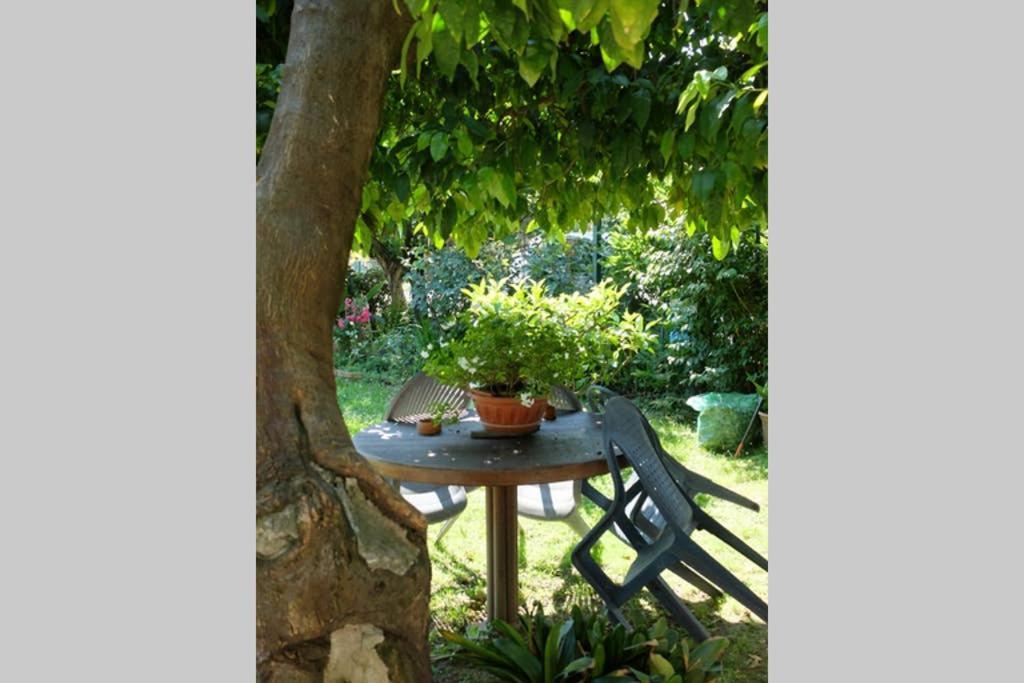 La Casina Di Bruna Mommio Экстерьер фото