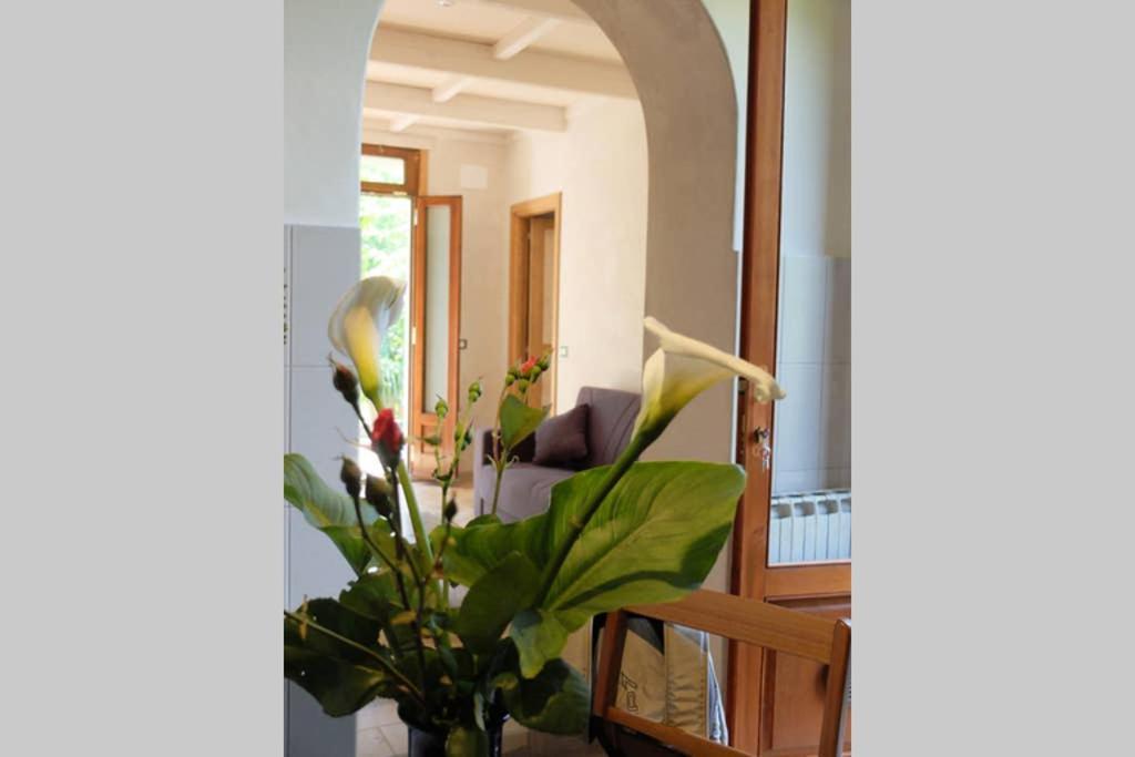 La Casina Di Bruna Mommio Экстерьер фото